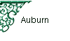 Auburn