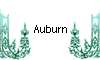 Auburn